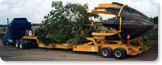 Tree Truck